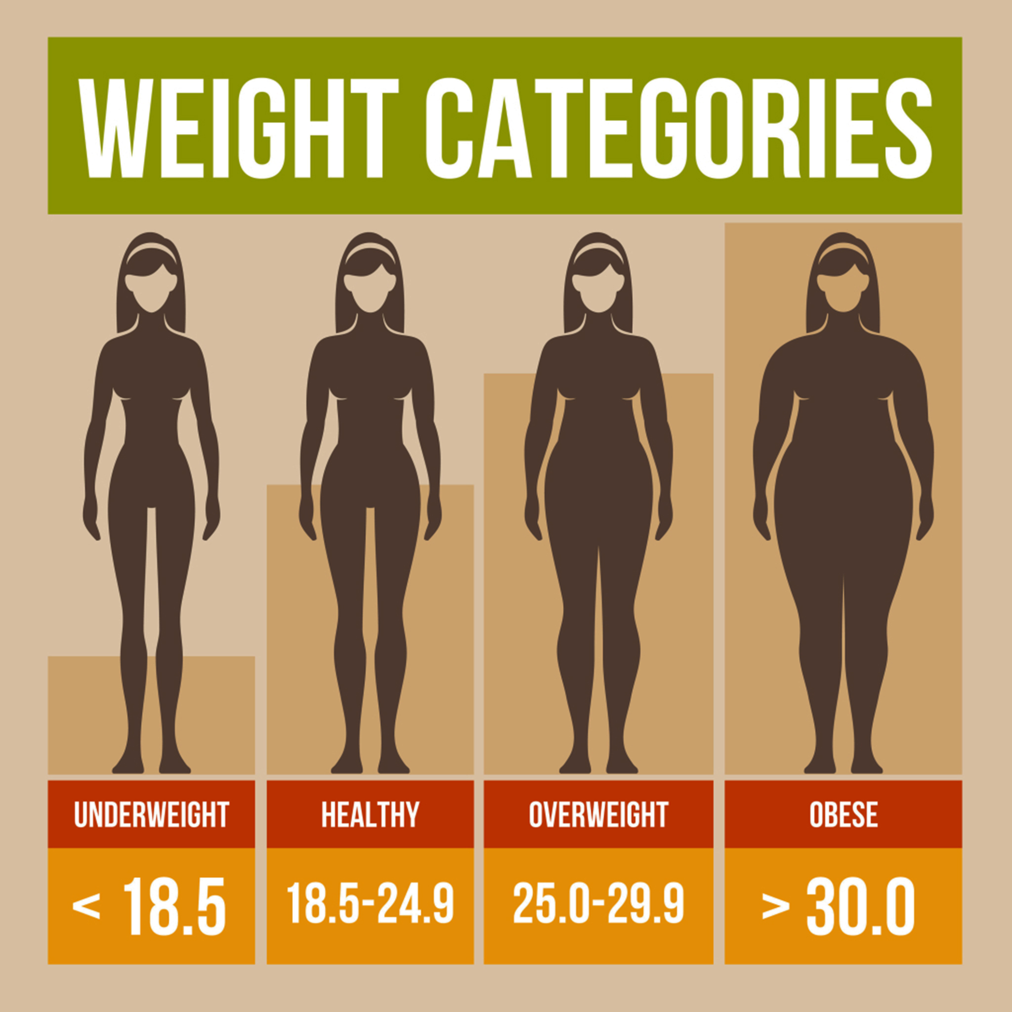 What Is This Body Mass Index BMI And What It Does Gymbuddy Now