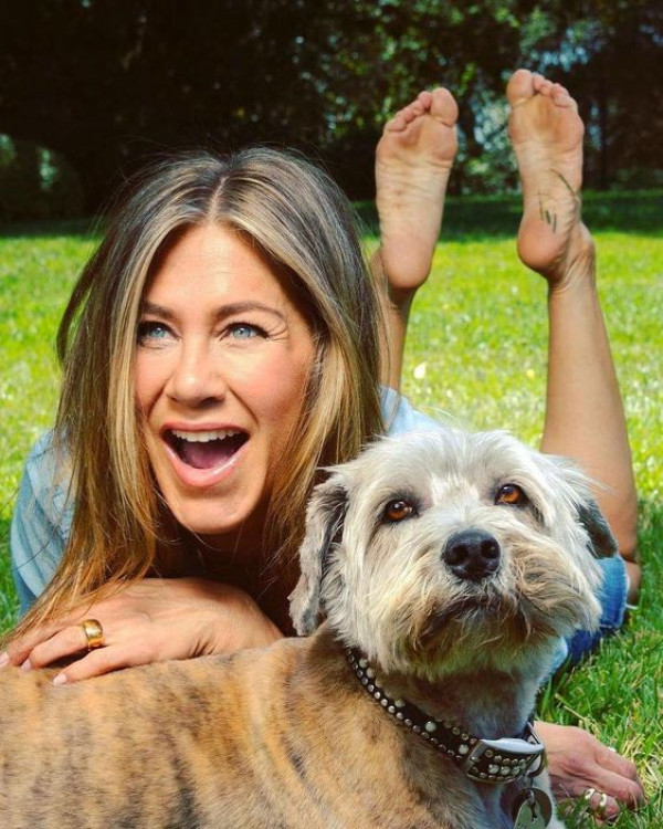 Do You Guys Know Jennifer Aniston Have A Huge Love And Heart For Dogs.