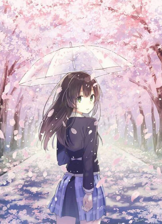 Beautiful cherry blossom anime girl