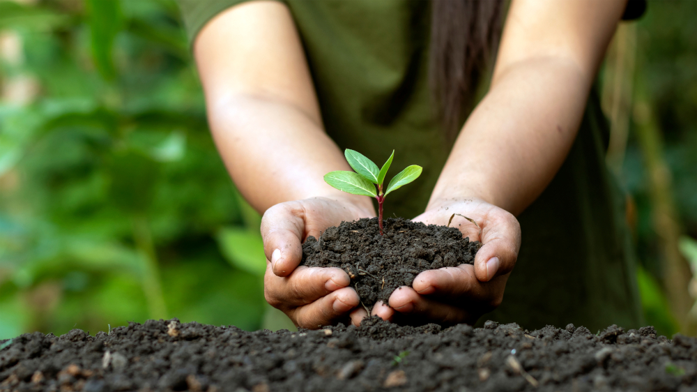 Girl Holding Tree in Both Hands