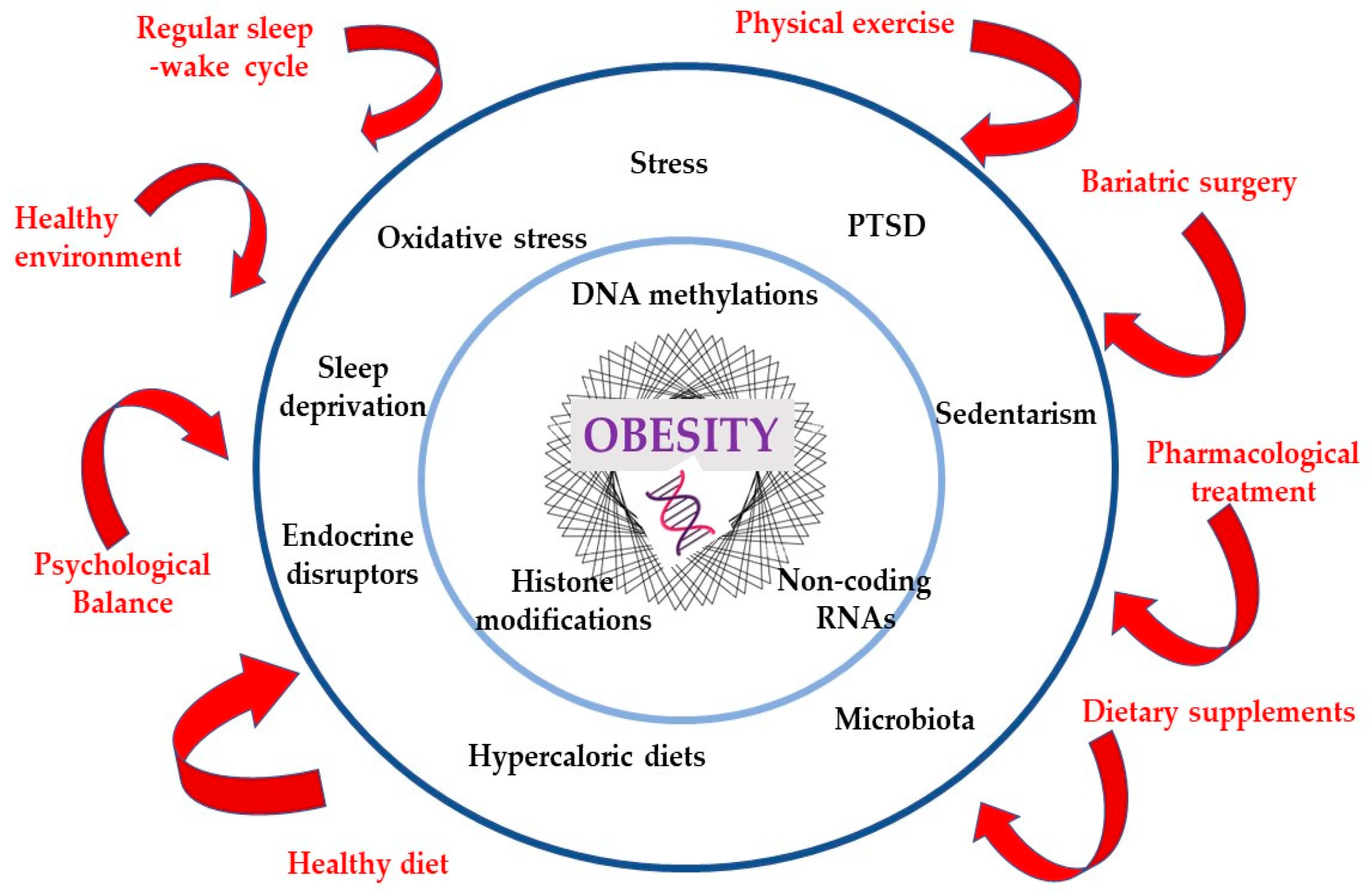 The Link Between Obesity and Urological Disorders