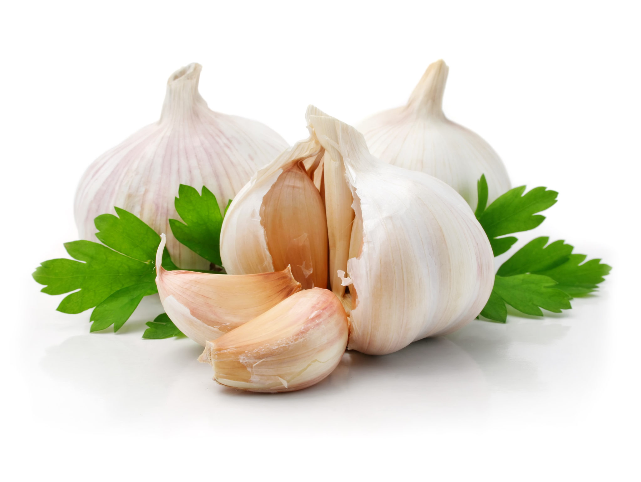 ripe garlic fruits with green parsley leaves isolated on white background