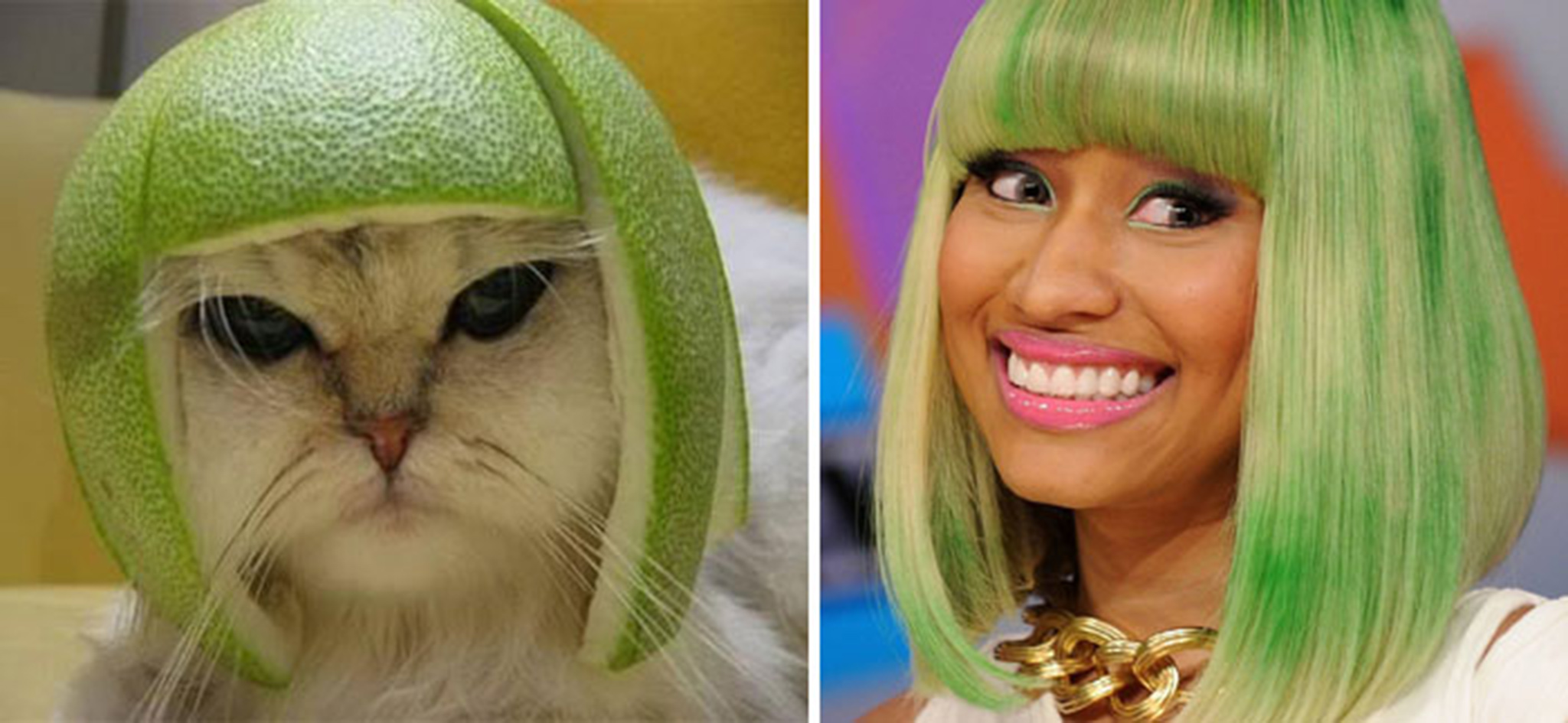 11 Pomelo Cat And Nicky Minaj