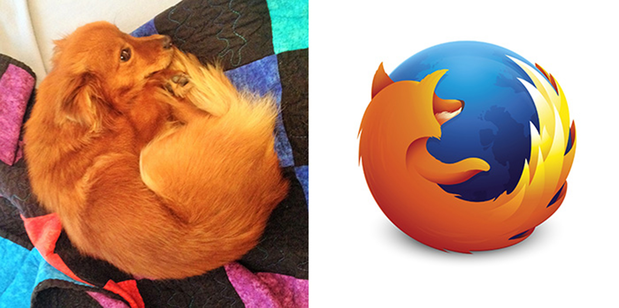 15 Firefox Dog