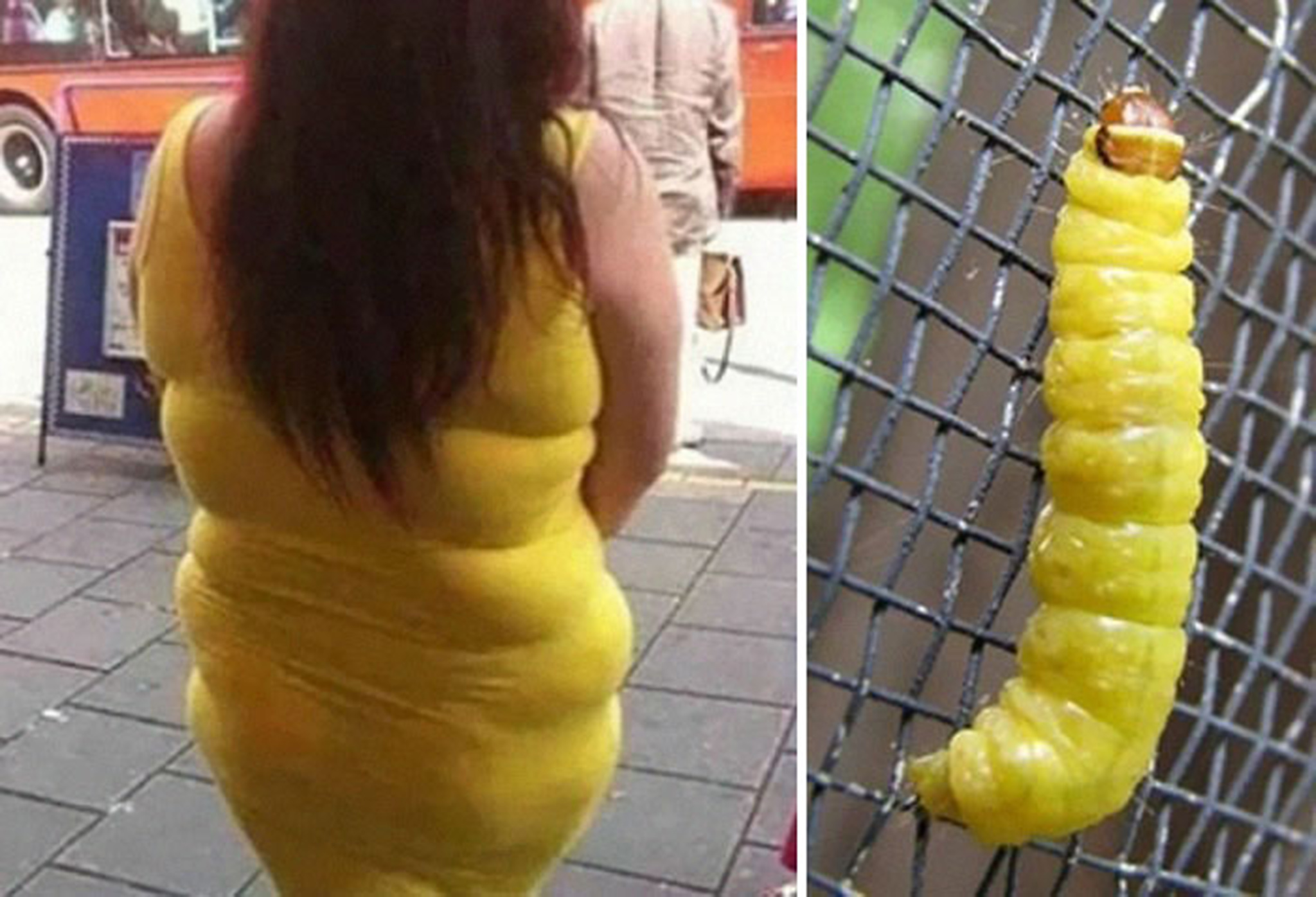 5 Yellow Dress And Caterpillar