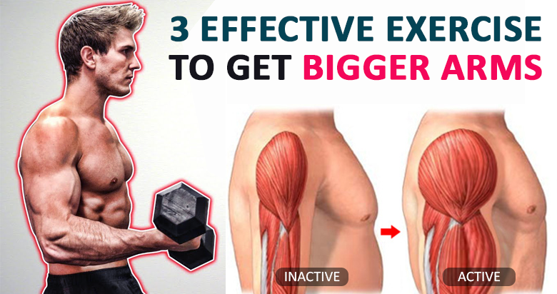 Get Bigger Biceps 3 Most Effective Exercise To Build